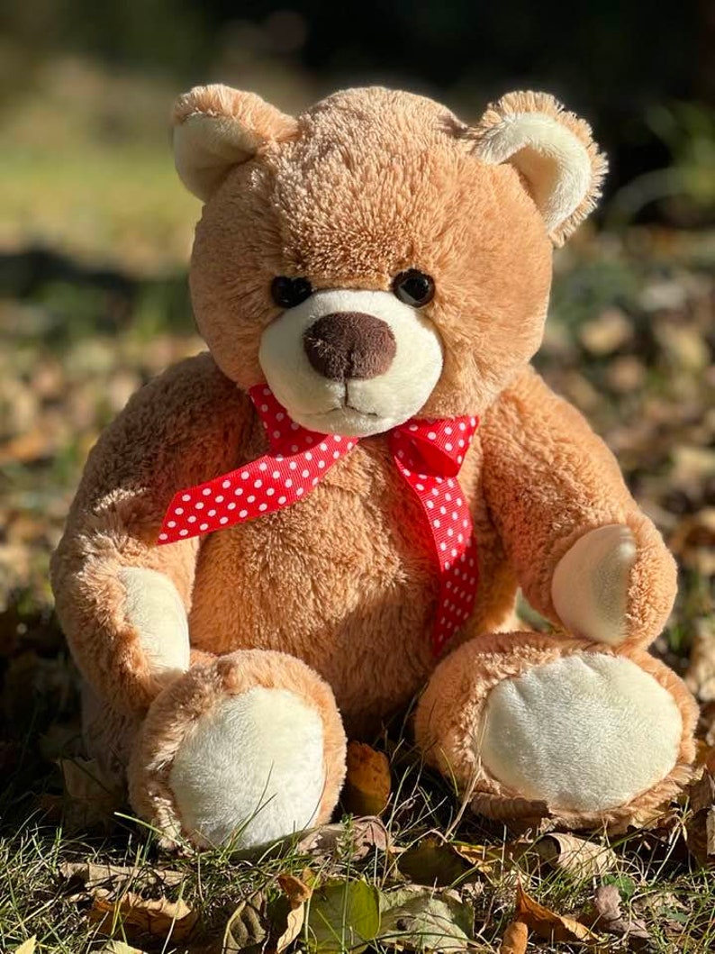 May include: A brown teddy bear with a red and white polka dot bow tie sitting on a bed of brown leaves and green grass.