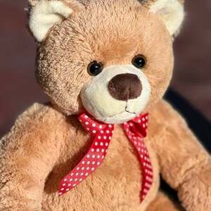 May include: A plush brown teddy bear with a red and white polka dot bow tie. The bear has black eyes and a brown nose.