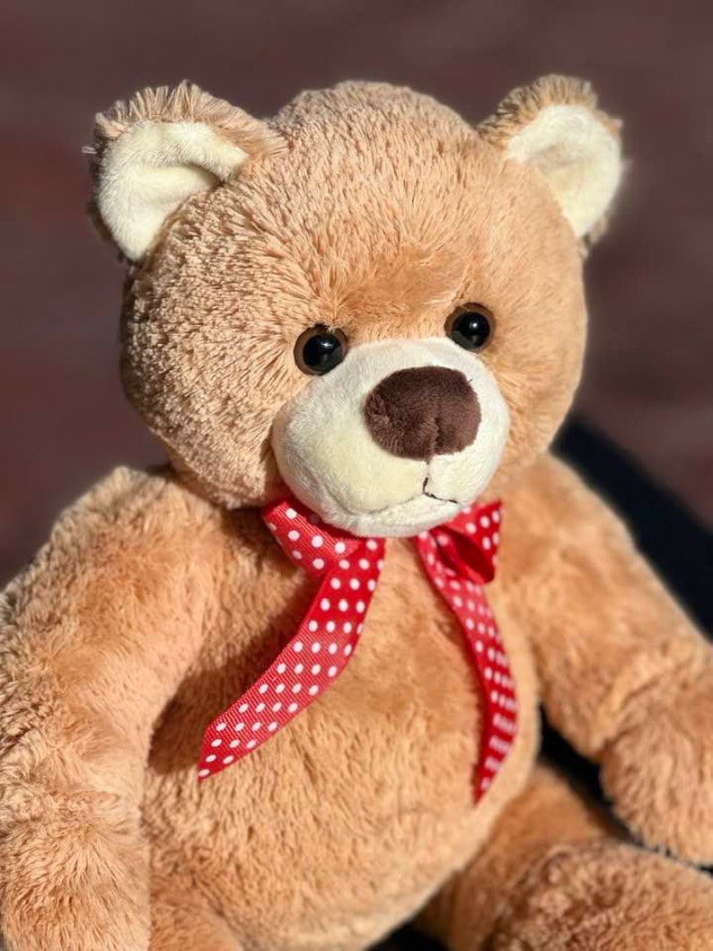 May include: A plush brown teddy bear with a red and white polka dot bow tie. The bear has black eyes and a brown nose.