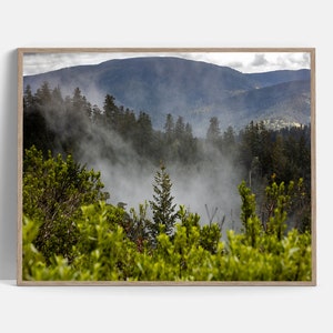 Mist in the Redwood Forest Photograph, Landscape Print, Mountain Photo, California, Redwood Forest Nature Photo, Outdoor Photography.