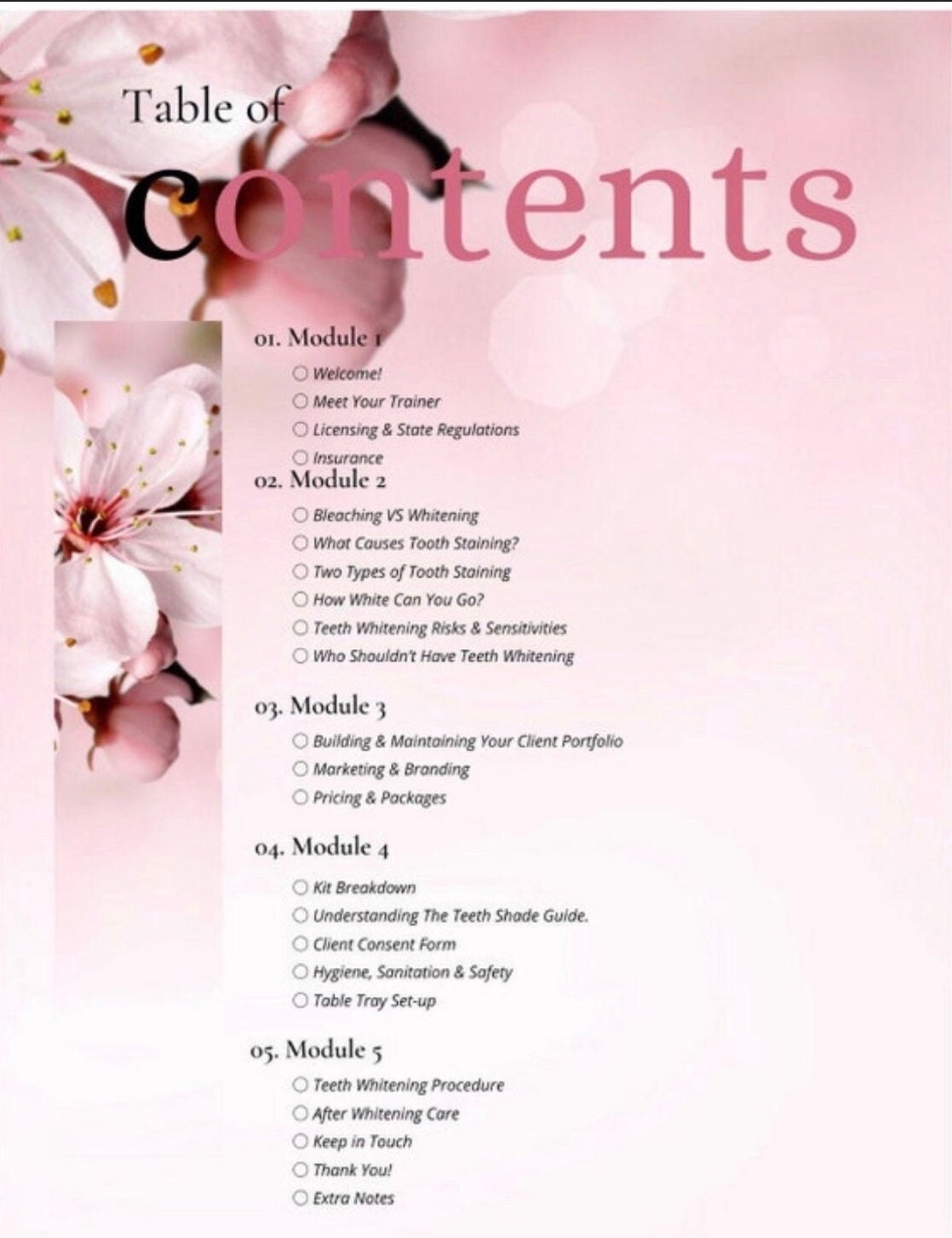 Teeth Whitening Kit, Professional Training, Teeth Whitening