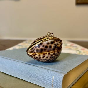 May include: A small, oval-shaped trinket box crafted from a natural cowrie shell with a distinctive brown spotted pattern. The shell features a polished finish and is secured with a gold-toned metal hinge and clasp mechanism along the center.