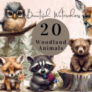 Waldtiere Aquarell Clipart | Kommerzielle Nutzung | Aquarell Waldtiere Clipart | Wandkunst | Babyparty Clipart | Kinderzimmer Clipart