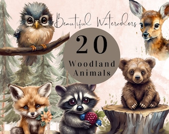 Watercolor Woodland Animals Clipart | Nursery Art (Digital Download)