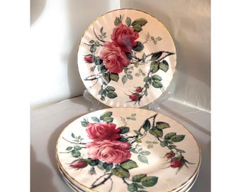 4 Vtg Roy Kirkham 8 in Wüstentellern English Rose patt Bone China