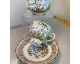 Vtg Royal Albert Trio set Silver Birch teacup Saucer Sugar bowl