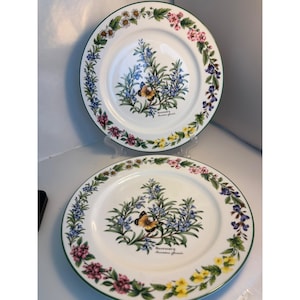 2 Royal Worcester Herbs Dinner plates 10 1/4 inches