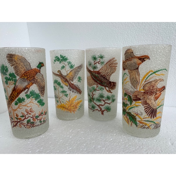 MCM bar glasses game birds Rare and unusual each glass is individually named for the bird on it 4 glasses frosted pebble glass hi ball or Co