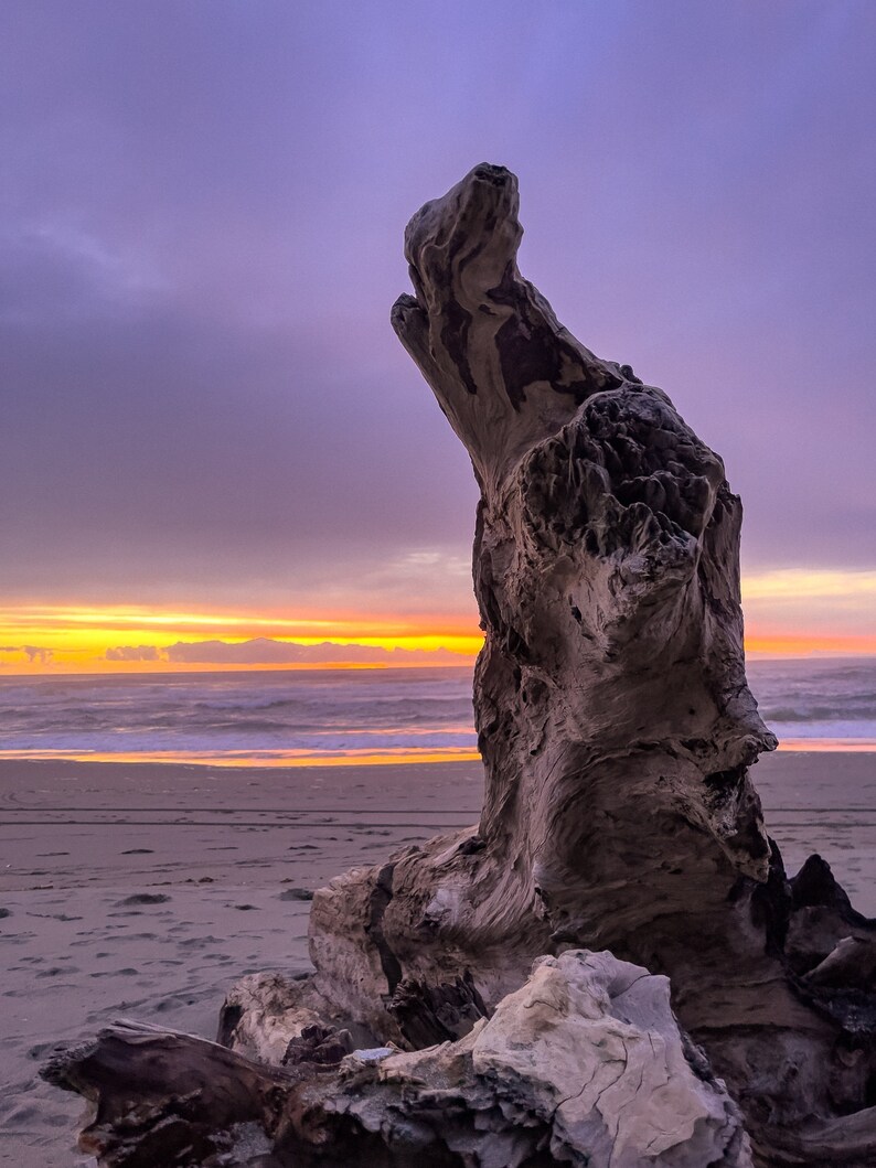 Beach Coffee Table Book Beach Sunsets Driftwood Ocean Etsy