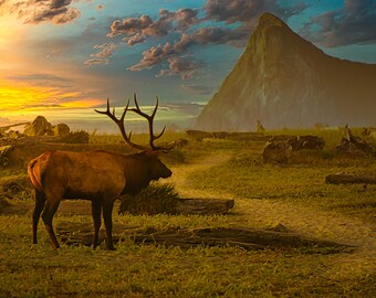 May include: A large, brown elk with antlers stands in a grassy field at sunset. A large, rocky mountain is in the background.