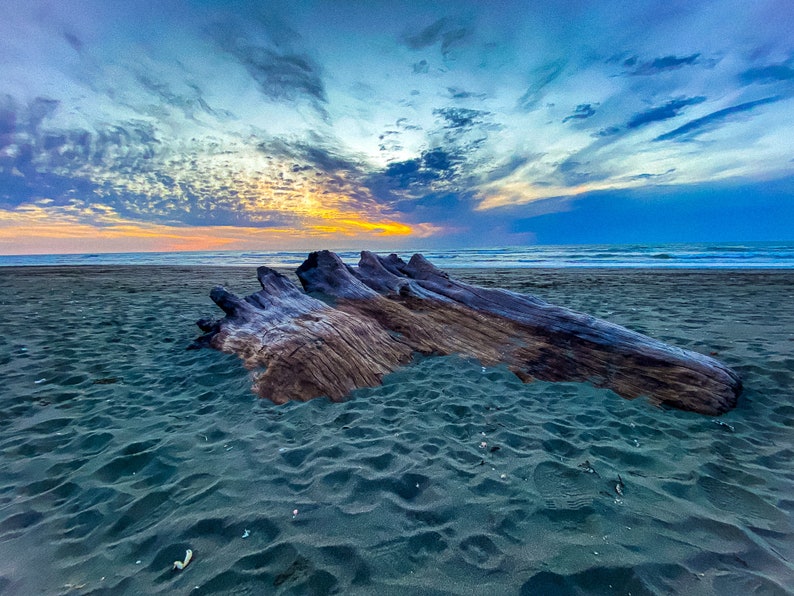 Beach Coffee Table Book Beach Sunsets Driftwood Ocean Etsy