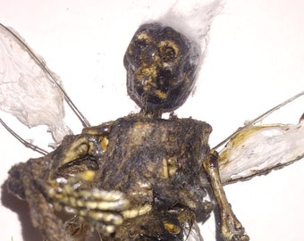 Mummified Tinker Fairy