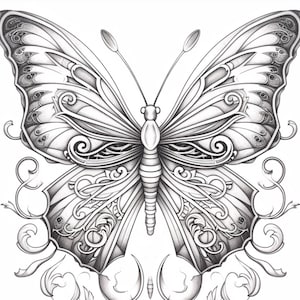 May include: A detailed black and white line drawing of a butterfly with intricate patterns on its wings.