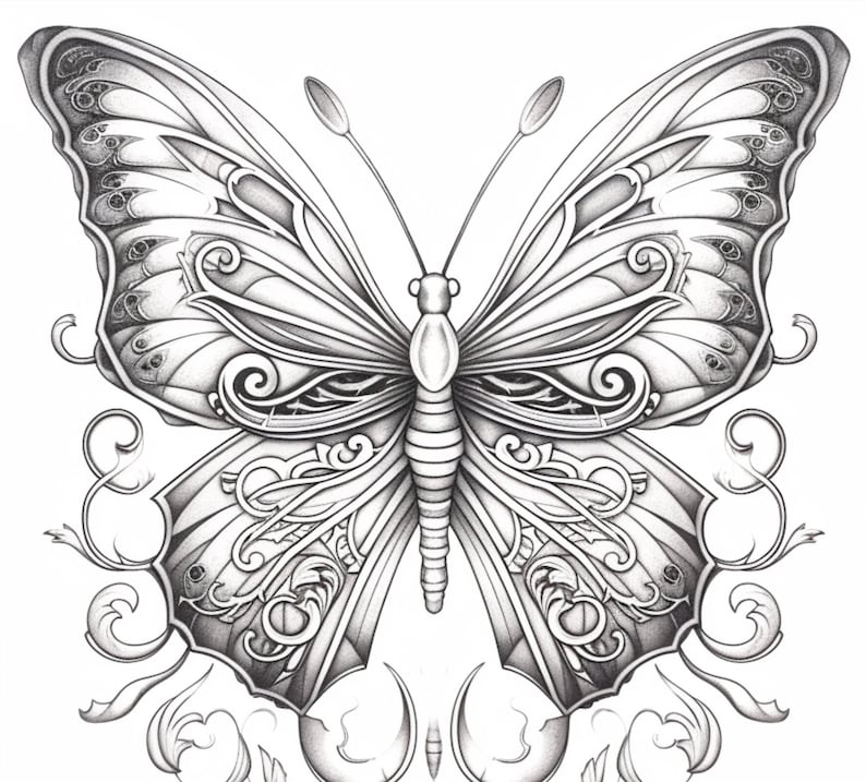 May include: A detailed black and white line drawing of a butterfly with intricate patterns on its wings.