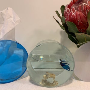 US Design Patented Acrylic Tissue Holder with 2 Additional Functions: Vase for Fresh or Dry Flowers or Mini Aquarium!