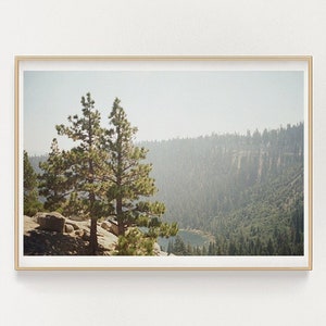 lake tahoe, california - 35mm film photography - digital download print - printable wall art - vintage tahoe pines photography