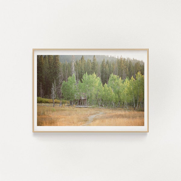 truckee, california - 35mm film photography - digital download print - printable wall art - vintage photo - pines - green field golden hour