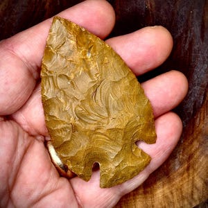 May include: A brown arrowhead with a unique, textured surface. The arrowhead is held in a hand, showcasing its size and detail.