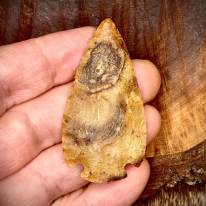 May include: A light brown arrowhead with a dark brown spot in the center. The arrowhead is made of stone and has a sharp point.