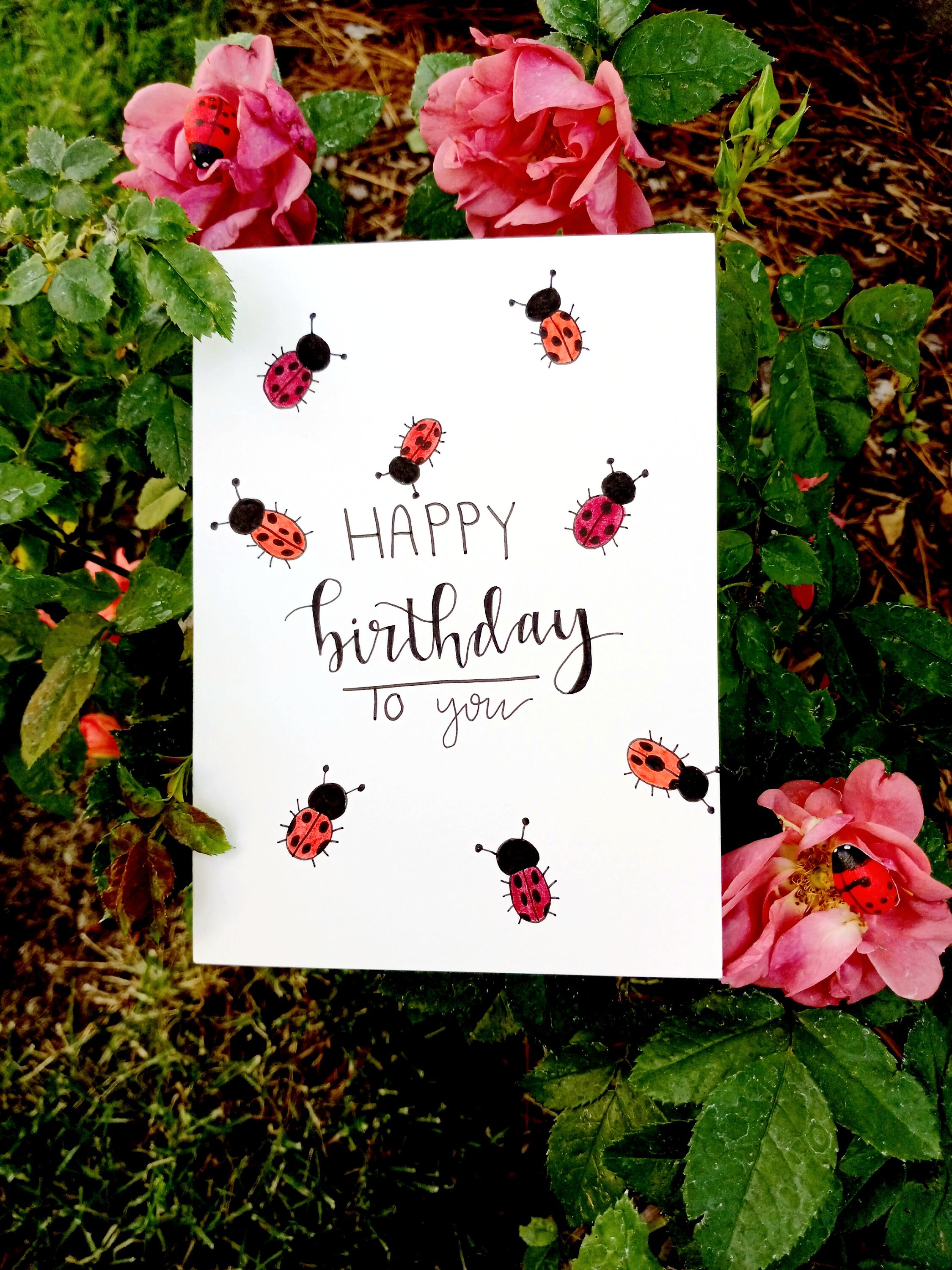 Lady Bug Note Handmade Ladybug Variety Note Cards - Set of 5 - Ladybug and Nature ...
