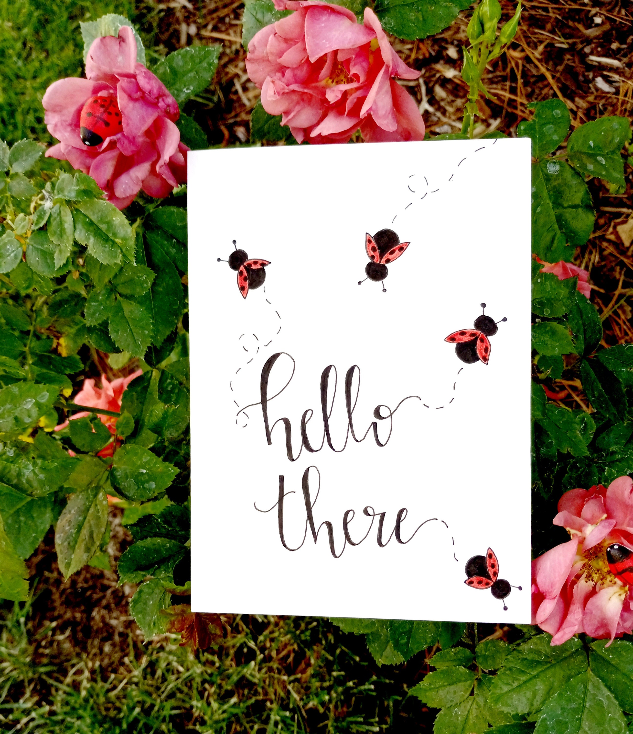 Lady Bug Note Handmade Ladybug Variety Note Cards - Set of 5 - Ladybug and Nature ...