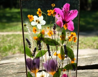 May include: A framed pressed flower art piece with a variety of flowers in shades of pink, purple, white, and yellow. The flowers are arranged in a random pattern and are pressed between two pieces of glass.