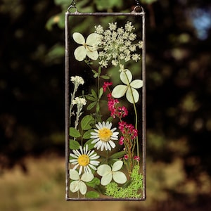 Pressed flower artwork, suncatcher, botanical dried pressed flower frame, hanging wall art, pressed flower art, pressed flower frame