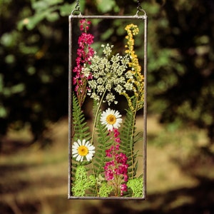 Pressed flower art frame, real wildflower, hanging glass décor, stained glass frame, suncatcher, original and unique gift