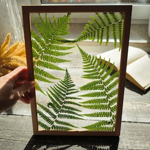 Pressed Fern Art: Wooden Frame, Botanical Glass Wall Decor