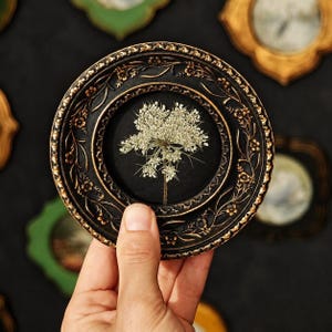 May include: A small, round, black frame with ornate gold-toned floral relief detailing along the border. The frame contains a pressed, dried white Queen Anne's lace flower centered against a solid black background, creating a botanical display.