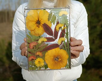 Stained glass frame, pressed flower frame, pressed plant frame, flower hanging, hanging glass decor