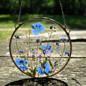 Pressed Forget-Me-Not Flower Art in Stained Glass Frame