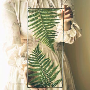 May include: A rectangular glass frame with a black metal border, showcasing two vibrant green fern leaves. The leaves are pressed and preserved, creating a natural, botanical display. The frame is held up by a chain.