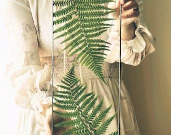 May include: A rectangular glass frame with a black metal border, showcasing two vibrant green fern leaves. The leaves are pressed and preserved, creating a natural, botanical display. The frame is held up by a chain.