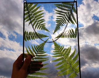 Real dried fern in a stained glass frame, Large Pressed Flower Frame, Real Pressed Botanicals, Wall decor, Botanical Art, Pressed flower art