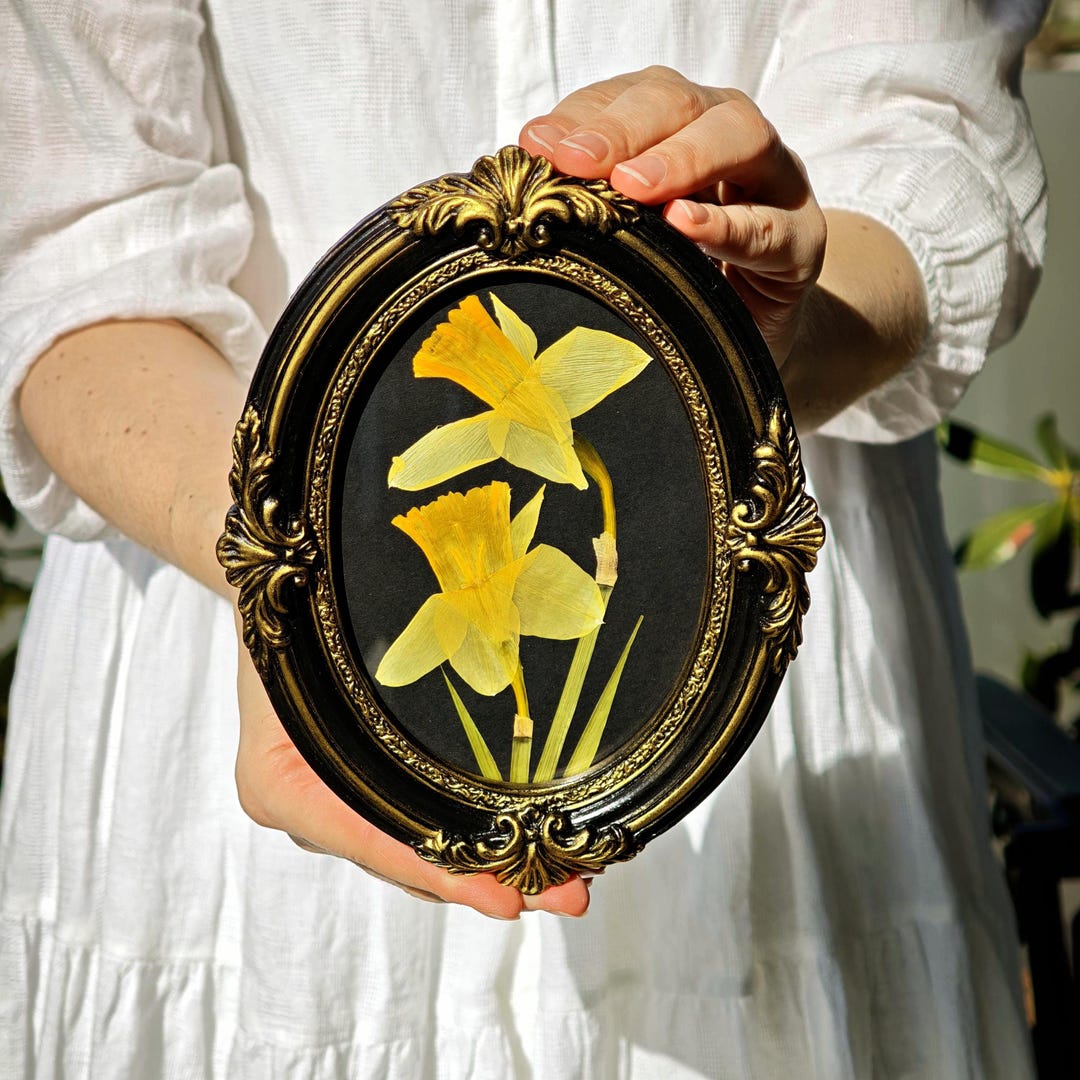 Picture Frame Color:green Vintage Frame With Pressed Daffodils - Choose the Frame Color! - Etsy