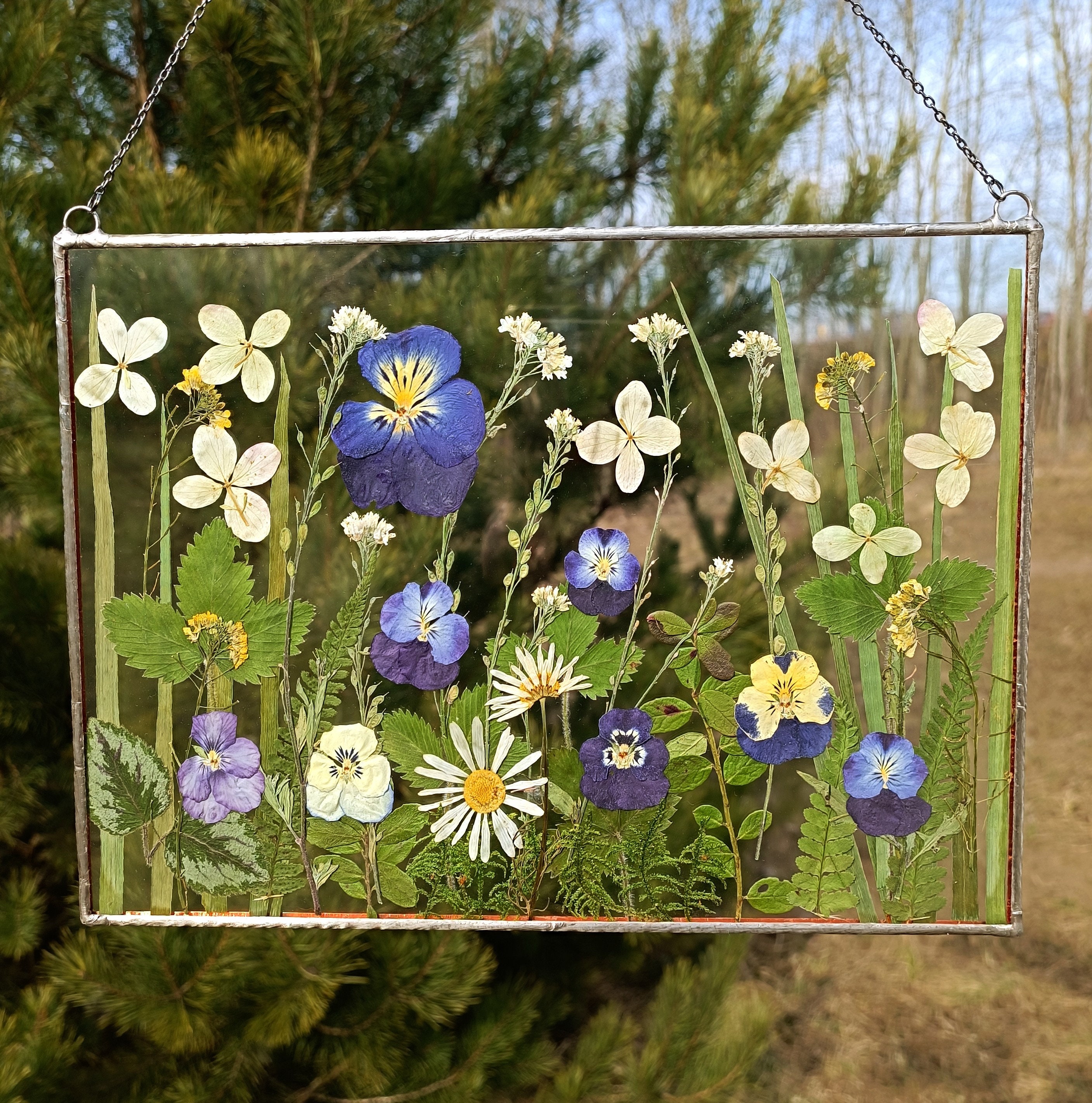 Pressed Flowers Art, Stained Glass, Dried - Wall , Frame, Frame, Real Sweden Large Decor Flower Glass Etsy Dried Pressed Decor, Flowers, Flower Hanging