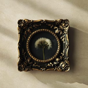 Framed Real Dandelion, Botanical Wall Decor, Preserved Flower Art, Nature Lover Gift image 8