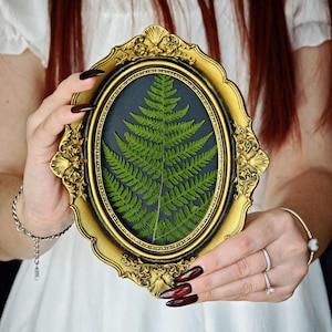 May include: An oval, gold-coloured ornate frame with a dark background displays a pressed green fern. The frame is held by a person with long, dark red nails and a white dress. The frame has decorative flourishes.
