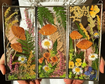 Könnte beinhalten: Drei gerahmte Stücke gepresster Blumenkunst mit Pilzen, Farnen und anderen Pflanzen. Die Rahmen sind aus Metall und haben einen rustikalen, Vintage-Look.