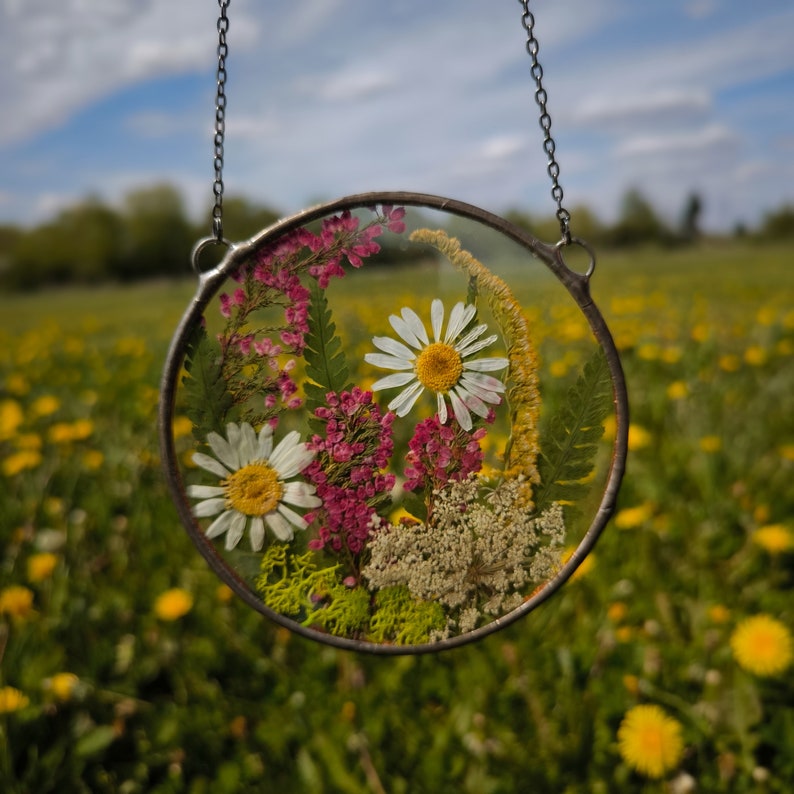 Buy Pressed Flower Suncatcher, Original Artwork Real Pressed Wildflower