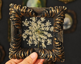 Pressed Queen Anne's Lace, Botanical Wall Art, Real Wildflower Frame, Nature Lover Gift