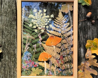 May include: A framed pressed flower art piece with a woodland theme. The piece features a variety of dried flowers, ferns, and mushrooms in shades of green, brown, and orange.