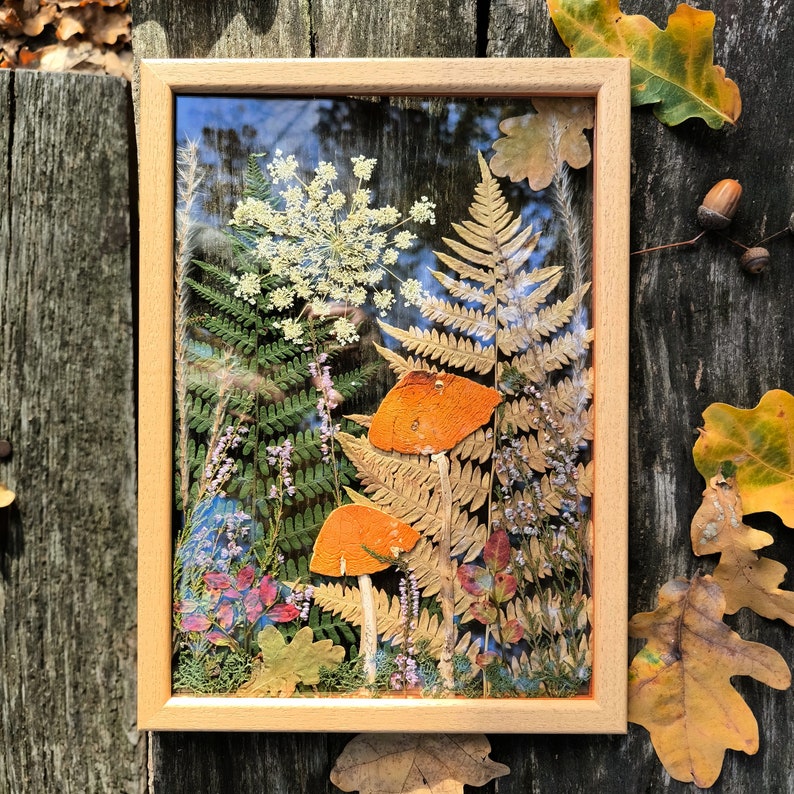plants pressed in a glass wooden frame