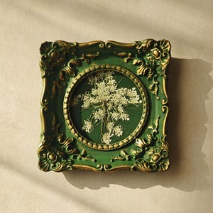May include: A square wall frame with an ornate, dark green and gold finish featuring intricate scrollwork. The center contains a circular display of pressed white Queen Anne's lace flowers set against a solid dark green background.