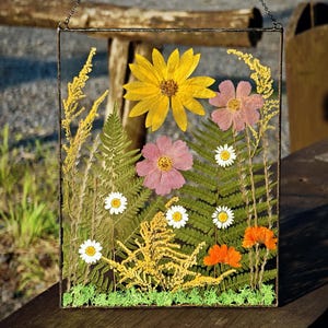 Large Pressed Flower Frame, Real Pressed Botanicals, Wall decor, Botanical Art, Pressed flower art, Real dried flowers, Herbarium