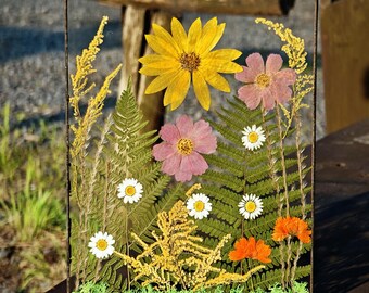 Large Pressed Flower Frame, Real Dried Botanical Herbarium, Wall Decor