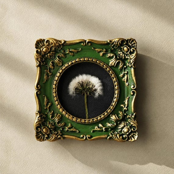 Framed Real Dandelion, Botanical Wall Decor, Preserved Flower Art, Nature Lover Gift