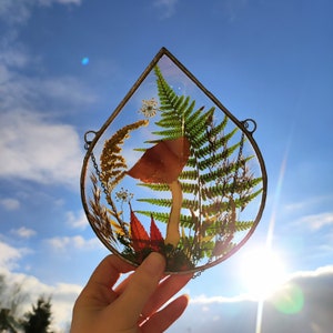 Stained glass frame, pressed flower frame, pressed plant frame, flower hanging, hanging glass decor image 4