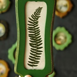 Puede incluir: Un marco de madera verde, alto y rectangular, con bordes desgastados, que presenta una sola hoja de helecho prensada de color verde oscuro centrada sobre un fondo de color crema claro. El marco tiene un acabado mate liso y borde curvo.